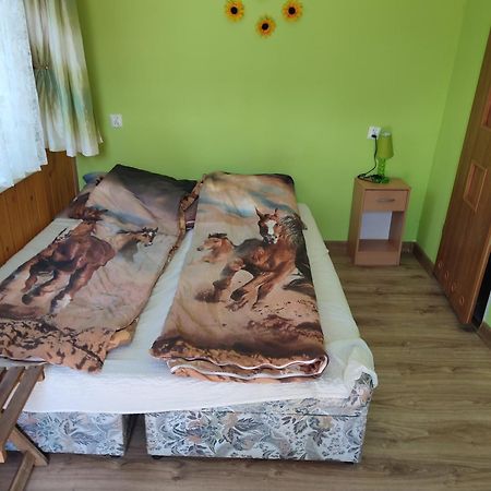 Iza-Pokoje Do Wynajecia Віселка Екстер'єр фото