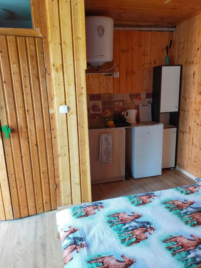 Iza-Pokoje Do Wynajecia Віселка Екстер'єр фото